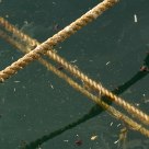 Ropes at the Harbour